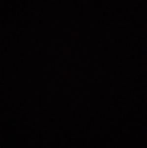 Meet your Posher, Abigale